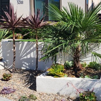 Yard Techs - Gardeners Near Me