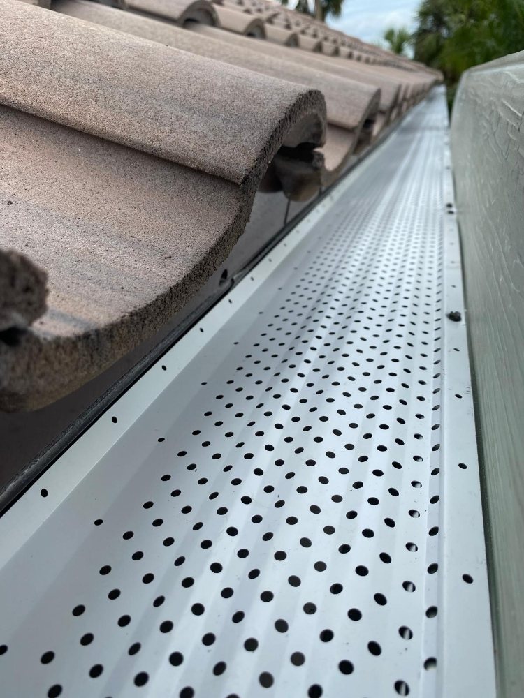 Slide of Castro's Services of FL