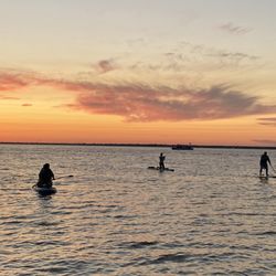 SUP Express - Sunset Paddle Board Tours