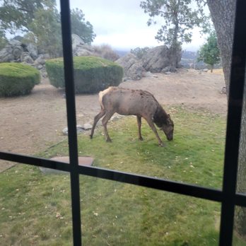 Stallion Springs Resort - Hotels Near Me - Tehachapi, California Stallion Springs Resort - Hotels Near Me - Tehachapi, California