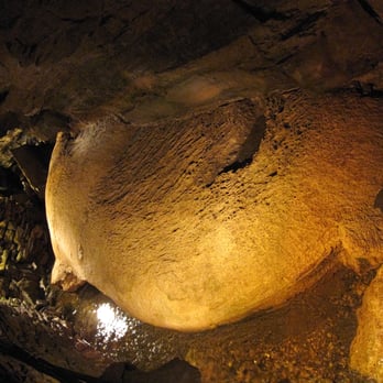 Howe Caverns - Turtle - Tours Near Me - Howes Cave, New York Howe Caverns - Turtle - Tours Near Me - Howes Cave, New York