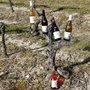 Photo of Domaine des Rosiers