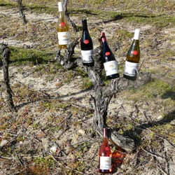 Domaine des Rosiers