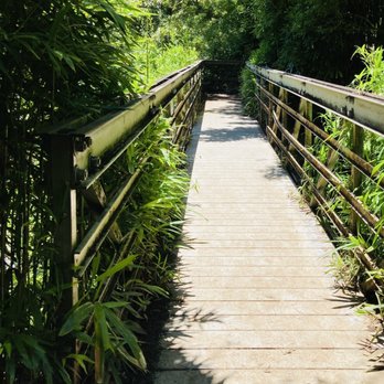Pipiwai Trail - Hiking Near Me - Hana,, Hawaii