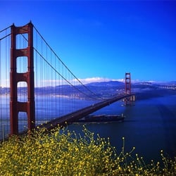 Bay Area Travels