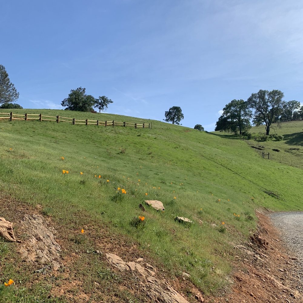 Wide green hills during the spring