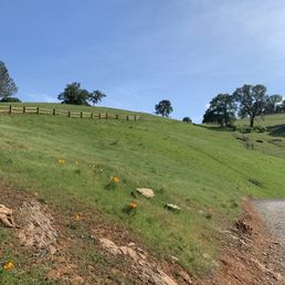 Wide green hills during the spring Wide green hills during the spring
