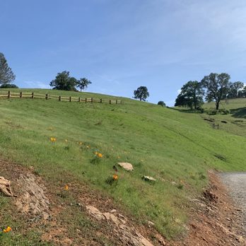 Hidden Falls Regional Park - Wide green hills during the spring - Parks Near Me - Auburn, California Hidden Falls Regional Park - Wide green hills during the spring - Parks Near Me - Auburn, California