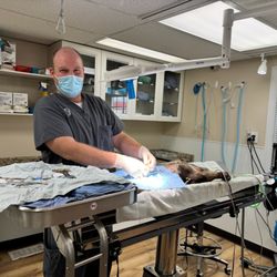 Cincinnati Veterinary Surgical & Wellness Center