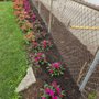 Rafael Landscaping