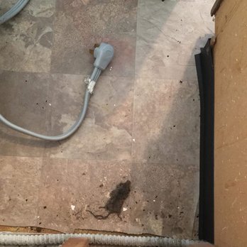 Ren Corp Realty - Apartments Near Me - Spokane, Washington Ren Corp Realty - Apartments Near Me - Spokane, Washington