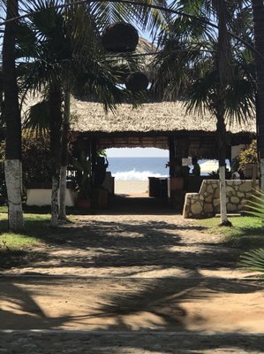 Playa Zicatela by null