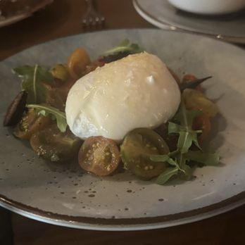 Vines by the H - Burrata cheese - Steakhouses Near Me - Sand Lake, Florida Vines by the H - Burrata cheese - Steakhouses Near Me - Sand Lake, Florida