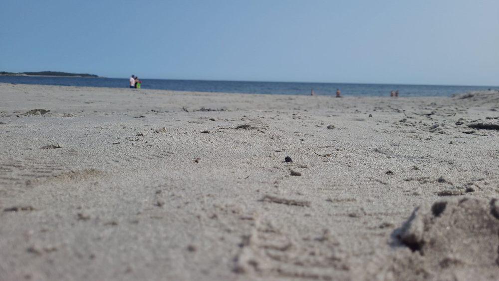 Bayswater Beach
