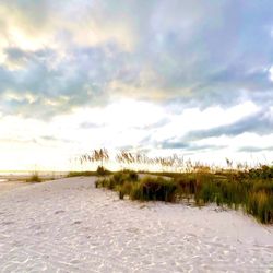 North Clearwater Beach