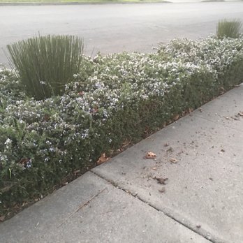 Ramirez Corporation Gardening Service - Landscaping Near Me