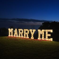 Toller Creations - Proposal setup