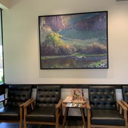 Bingham Dermatology Group - Art in the waiting room October 2023