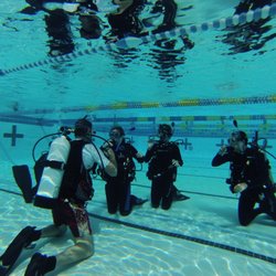 Scuba Monkey Dive Center - Safe and Quality Training is what Scuba Monkey Dive Center is all about.