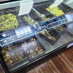 Dominick's Delicatessen - Salad