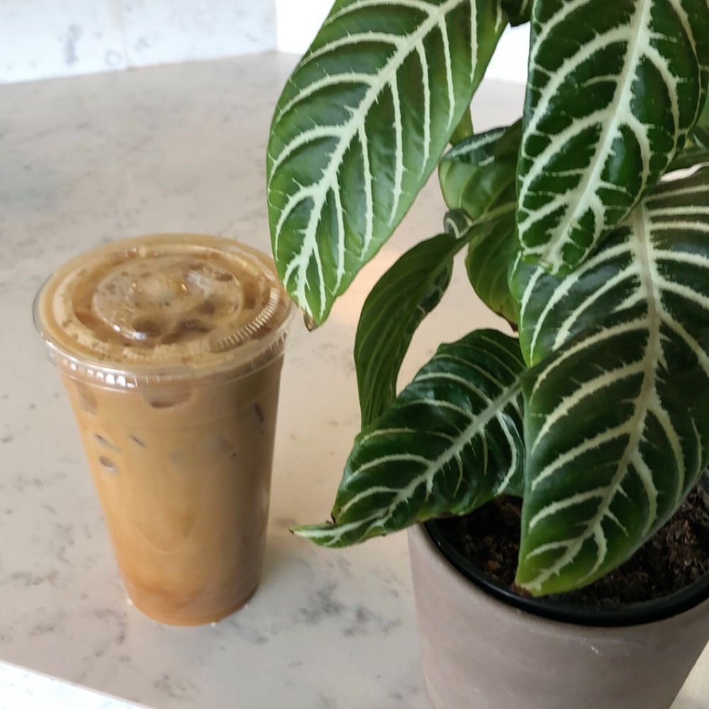 Brot Coffee - coffee - Coffee & Tea Near Me - Orange, California