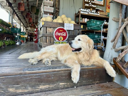 Cashiers Farmers Market by null