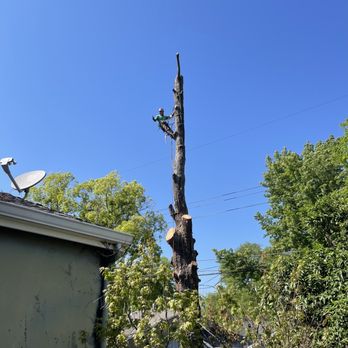 EG Tree Service - Tree Services Near Me EG Tree Service - Tree Services Near Me