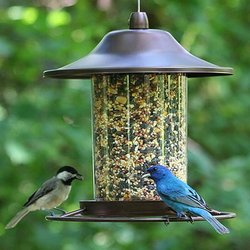 Weiks Wild Bird Shop - Bird Feeders