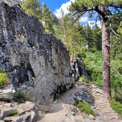 Eagle Falls Trailhead Gift Greeting Cards Email, Text or Print