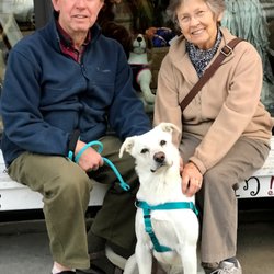 Farfel's Farm & Rescue - Some of our rescues...