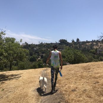 Deervale-Stone Canyon Park - Hiking Near Me - Los Angeles, California
