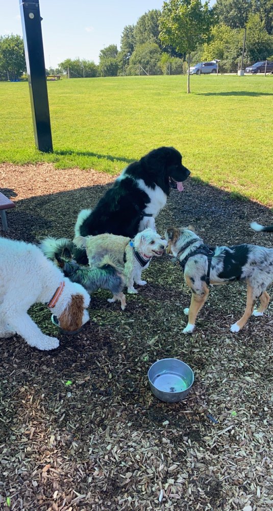 JAMES O BREEN COMMUNITY PARK Updated September 2024 Campton Hills