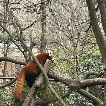 Central Park Zoo - Zoos Near Me - New York, New York