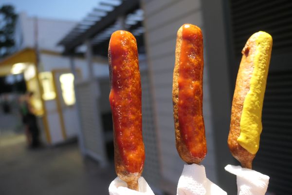 Pronto Pups by null