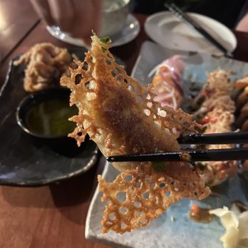Moon Tree Sushi And Tapas - Pork Gyoza - Sushi Bars Near Me - Seattle, Washington Moon Tree Sushi And Tapas - Pork Gyoza - Sushi Bars Near Me - Seattle, Washington