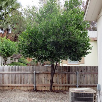 Poopy Scoopy - We love our clean yard - Pet Waste Removal Near Me