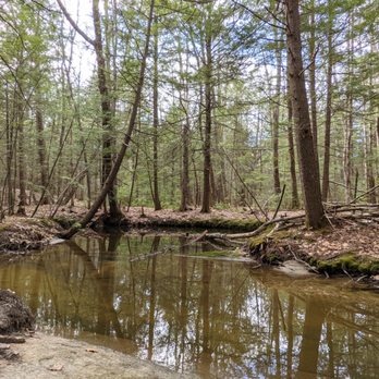 Rines Forest - Parks Near Me - Cumberland, Maine Rines Forest - Parks Near Me - Cumberland, Maine
