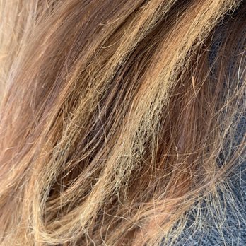Social Dry Lounge - do not go here this is my fried hair - Blow Dry/Out Services Near Me - Corona Del Mar, California Social Dry Lounge - do not go here this is my fried hair - Blow Dry/Out Services Near Me - Corona Del Mar, California