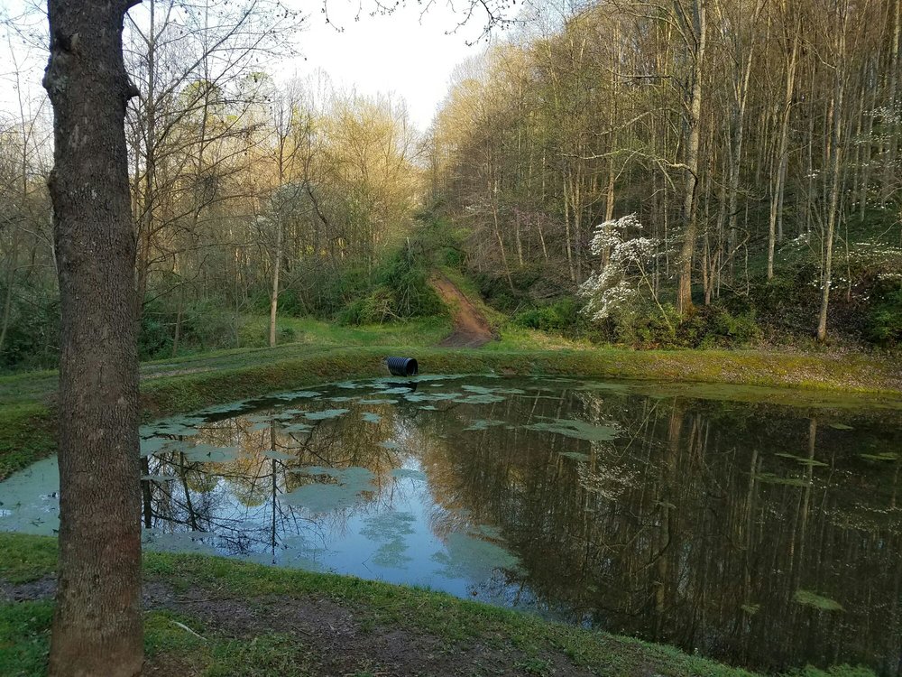 HILLBILLY HAVEN LOG CABIN RENTALS Updated October 2024 11 Reviews Weston, Weston, West