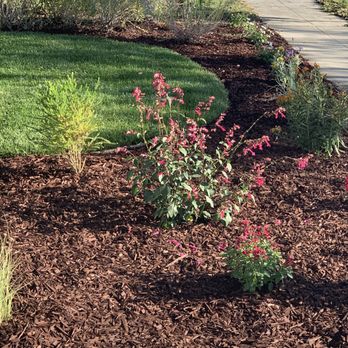 MB Landscaping - Landscaping Near Me - San Jose, California MB Landscaping - Landscaping Near Me - San Jose, California