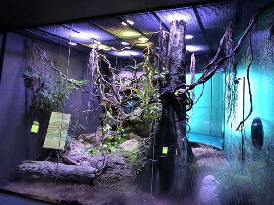 Cairns Aquarium by null