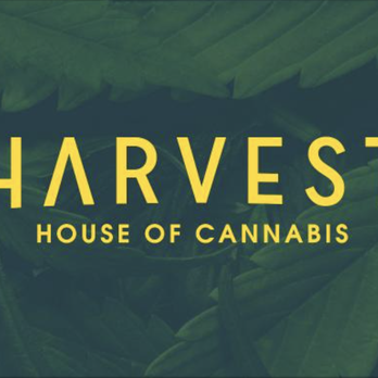 Trulieve - Cannabis Clinics Near Me - North Port, Florida Trulieve - Cannabis Clinics Near Me - North Port, Florida