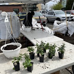 Fred Meyer - Planting station