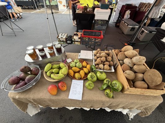 Audubon Park Community Market by null