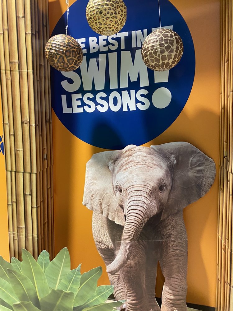 BEAR PADDLE SWIM SCHOOL LOUISVILLE Updated September 2024 71