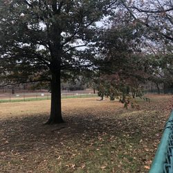 Friends of Murphysboro Dog Park - Fenced in dog park
