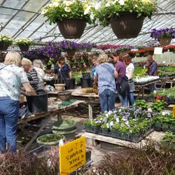 Georama - Hanging Basket Work Shop Spring 2019
