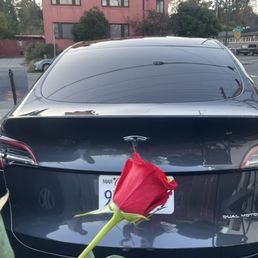 I got a Wednesday rose! I got a Wednesday rose!