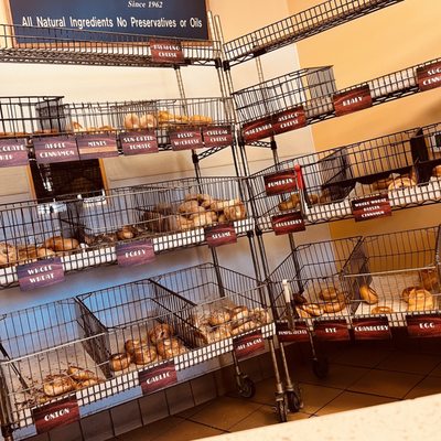 House of Bagels by null