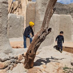 Ryan Campground - Kids loved climbing through the old ranch